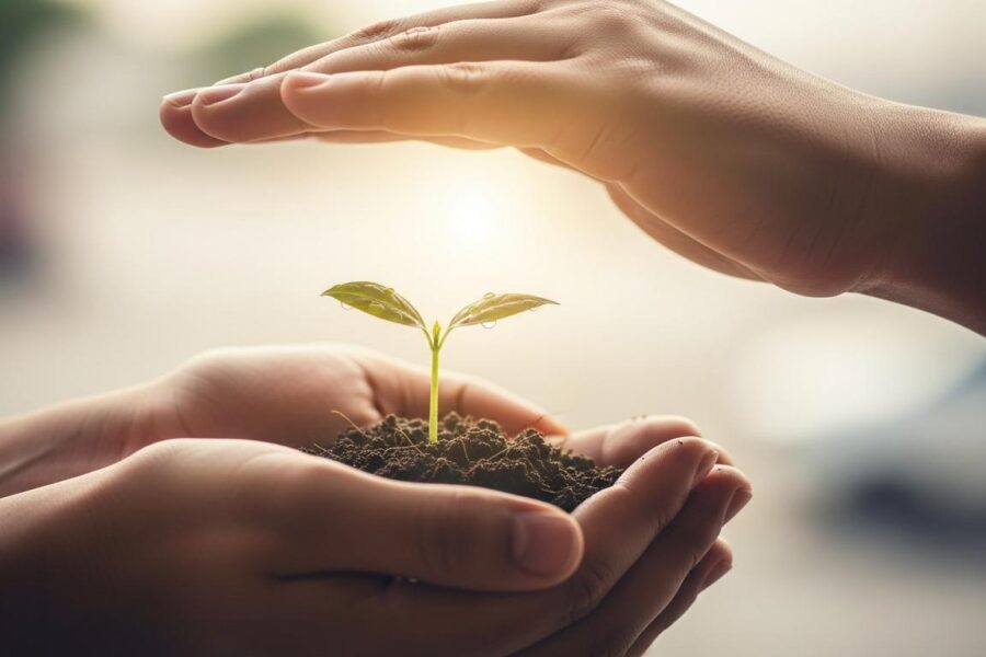 Ochrona delikatnego wzrostu zamiast ciągłej presji na wyniki.